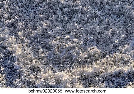 Stock Photography - "Salt crystals, shore region of the Great Salt Lake, Salt Lake City, Utah, USA". Fotosearch