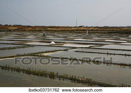 "Salt farm, Noirmoutier-en-l’Ile, Ile de Noirmoutier, Pays de la Loire, France, Europe" View Large Photo Image Stock Image - "Salt farm, Noirmoutier-en-l’Ile, Ile de Noirmoutier, Pays de la Loire, France, Europe". Fotosearch