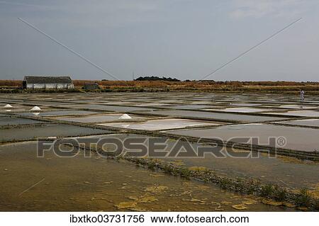 Stock Photograph - "Salt farm, Noirmoutier-en-lâ€™Ile, Ile de Noirmoutier, Pays de la Loire, France, Europe". Fotosearch