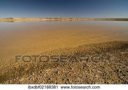 "Salt flat, Kalahari Desert, Northern Cape, South Africa, Africa" View Large Photo Image Stock Image - "Salt flat, Kalahari Desert, Northern Cape, South Africa, Africa". Fotosearch