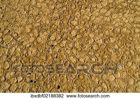 "Salt flat, Kalahari Desert, Northern Cape, South Africa, Africa" View Large Photo Image Stock Image - "Salt flat, Kalahari Desert, Northern Cape, South Africa, Africa". Fotosearch
