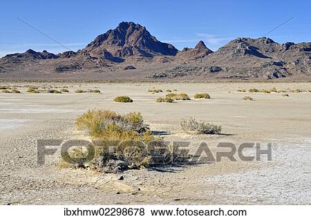 "Salt flats at the Bonneville Speedway, Great Salt Lake Desert, Silver Island Mountains at back, Wendover, Utah, USA" View Large Photo Image Stock Photo - "Salt flats at the Bonneville Speedway, Great Salt Lake Desert, Silver Island Mountains at back, Wendover, Utah, USA". Fotosearch
