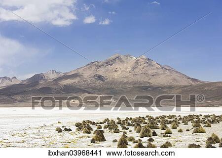 Stock Image - "Salt lake Salar de Surire, partly mine and partly nature reserve, Putre, Arica y Parinacota Region, Chile, South America". Fotosearch