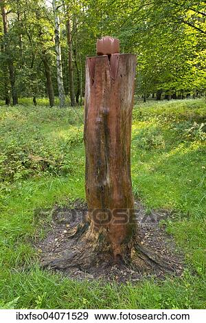Stock Photo - "Salt lick for wild game, Lower Saxony, Germany, Europe". Fotosearch