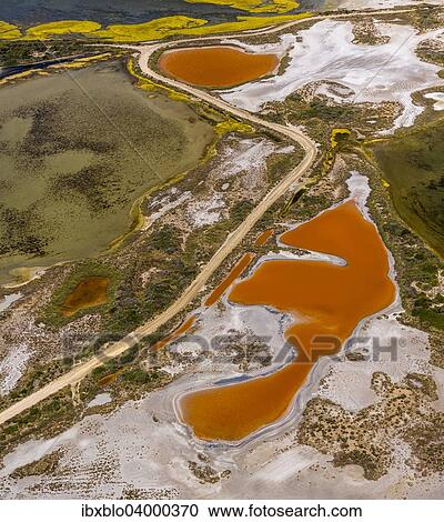 "Salt patterns on the surface of salt marshes, brackish water area with colourful old salines, near Aigues-Mortes, Saintes-Maries-de-la-Mer, Camargue, Provence-Alpes-Cote d'Azur, France, Europe" View Large Photo Image Stock Image - "Salt patterns on the surface of salt marshes, brackish water area with colourful old salines, near Aigues-Mortes, Saintes-Maries-de-la-Mer, Camargue, Provence-Alpes-Cote d'Azur, France, Europe". Fotosearch
