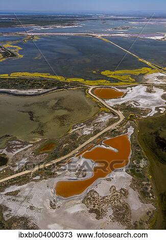 "Salt patterns on the surface of salt marshes, brackish water area with colourful old salines, near Aigues-Mortes, Saintes-Maries-de-la-Mer, Camargue, Provence-Alpes-Cote d'Azur, France, Europe" View Large Photo Image Stock Image - "Salt patterns on the surface of salt marshes, brackish water area with colourful old salines, near Aigues-Mortes, Saintes-Maries-de-la-Mer, Camargue, Provence-Alpes-Cote d'Azur, France, Europe". Fotosearch