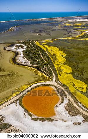 "Salt patterns on the surface of salt marshes, brackish water area with colourful old salines, near Aigues-Mortes, Saintes-Maries-de-la-Mer, Camargue, Provence-Alpes-Cote d'Azur, France, Europe" View Large Photo Image Stock Image - "Salt patterns on the surface of salt marshes, brackish water area with colourful old salines, near Aigues-Mortes, Saintes-Maries-de-la-Mer, Camargue, Provence-Alpes-Cote d'Azur, France, Europe". Fotosearch