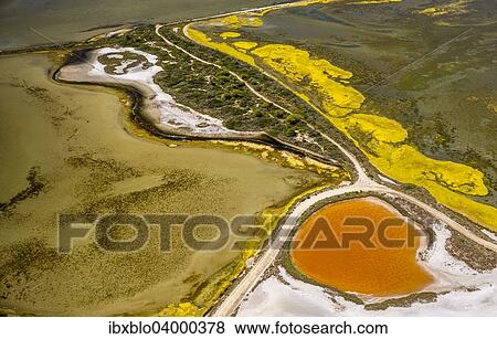 "Salt patterns on the surface of salt marshes, brackish water area with colourful old salines, near Aigues-Mortes, Saintes-Maries-de-la-Mer, Camargue, Provence-Alpes-Cote d'Azur, France, Europe" View Large Photo Image Stock Photo - "Salt patterns on the surface of salt marshes, brackish water area with colourful old salines, near Aigues-Mortes, Saintes-Maries-de-la-Mer, Camargue, Provence-Alpes-Cote d'Azur, France, Europe". Fotosearch