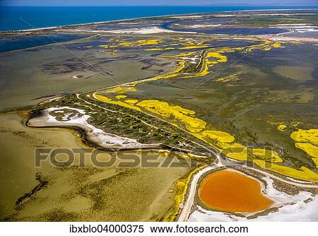 "Salt patterns on the surface of salt marshes, brackish water area with colourful old salines, near Aigues-Mortes, Saintes-Maries-de-la-Mer, Camargue, Provence-Alpes-Cote d'Azur, France, Europe" View Large Photo Image Stock Photography - "Salt patterns on the surface of salt marshes, brackish water area with colourful old salines, near Aigues-Mortes, Saintes-Maries-de-la-Mer, Camargue, Provence-Alpes-Cote d'Azur, France, Europe". Fotosearch