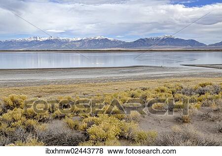 "San Luis Lake, San Luis Lakes State Park, with Sangre de Christo Mountains at the rear, Mosca, Colorado, USA" View Large Photo Image Stock Photo - "San Luis Lake, San Luis Lakes State Park, with Sangre de Christo Mountains at the rear, Mosca, Colorado, USA". Fotosearch