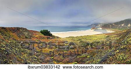 "Sand beach on the California Pacific coast, near Point Sur, California, United States, North America" View Large Photo Image Stock Image - "Sand beach on the California Pacific coast, near Point Sur, California, United States, North America". Fotosearch
