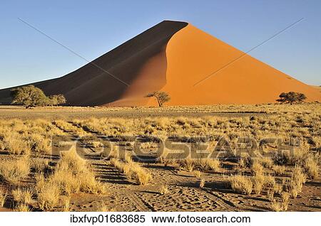 "Sand dune in the afternoon light near Sossusvlei, Namib Desert, Namib Naukluft Park, Namibia, Africa" View Large Photo Image Stock Photography - "Sand dune in the afternoon light near Sossusvlei, Namib Desert, Namib Naukluft Park, Namibia, Africa". Fotosearch