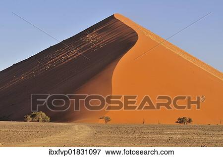 "Sand dune in the morning light, near Sossusvlei, Namib Desert, Namib Naukluft Park, Namibia, Africa" View Large Photo Image Stock Photo - "Sand dune in the morning light, near Sossusvlei, Namib Desert, Namib Naukluft Park, Namibia, Africa". Fotosearch