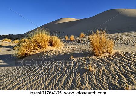 "Sand dune of Erg Tihodaine, Wilaya Tamanrasset, Algeria, Sahara, North Africa, Africa" View Large Photo Image Stock Photography - "Sand dune of Erg Tihodaine, Wilaya Tamanrasset, Algeria, Sahara, North Africa, Africa". Fotosearch