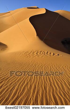 "Sand dunes at Erg Mehedjibat, Immidir, Algeria, Sahara, North Africa, Africa" View Large Photo Image Stock Photography - "Sand dunes at Erg Mehedjibat, Immidir, Algeria, Sahara, North Africa, Africa". Fotosearch