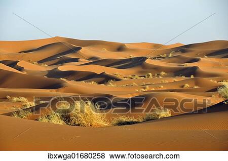 "Sand dunes, Erg Chebbi desert, Morocco, Africa" View Large Photo Image Stock Photo - "Sand dunes, Erg Chebbi desert, Morocco, Africa". Fotosearch