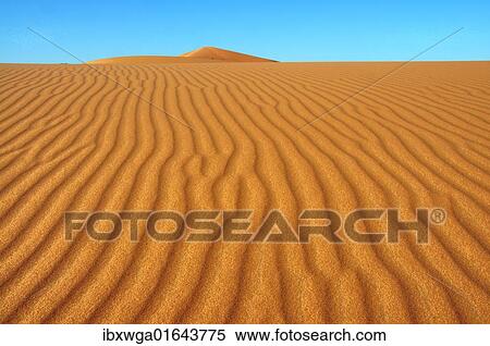 "Sand dunes, Erg Chebbi, Morocco, Africa" View Large Photo Image Stock Photography - "Sand dunes, Erg Chebbi, Morocco, Africa". Fotosearch