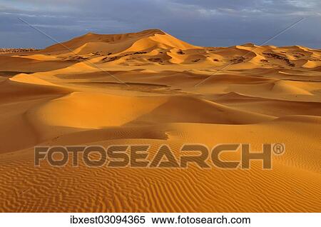 "Sand dunes in evening light, Sahara, Erg Tibaradine, Immidir or Mouydir, Sahara, Tamanrasset Province, Algeria, Africa" View Large Photo Image Stock Photography - "Sand dunes in evening light, Sahara, Erg Tibaradine, Immidir or Mouydir, Sahara, Tamanrasset Province, Algeria, Africa". Fotosearch