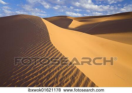 "Sand dunes in the Libyan Desert, Sahara, Libya, North Africa, Africa" View Large Photo Image Stock Photo - "Sand dunes in the Libyan Desert, Sahara, Libya, North Africa, Africa". Fotosearch