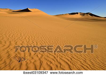 "Sand dunes in the Sahara desert, Immidir, Mouydir, Erg Takaraft, Tamanrasset Province, Algeria, Africa" View Large Photo Image Stock Photo - "Sand dunes in the Sahara desert, Immidir, Mouydir, Erg Takaraft, Tamanrasset Province, Algeria, Africa". Fotosearch