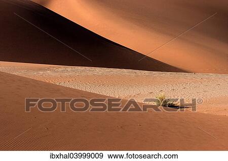 "Sand dunes, Namib Desert, Sossusvlei, Namibia, Africa" View Large Photo Image Stock Photo - "Sand dunes, Namib Desert, Sossusvlei, Namibia, Africa". Fotosearch