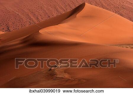 "Sand dunes, Namib Desert, Sossusvlei, Namibia, Africa" View Large Photo Image Stock Photo - "Sand dunes, Namib Desert, Sossusvlei, Namibia, Africa". Fotosearch
