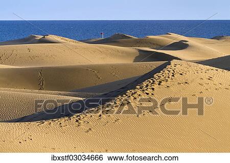 "Sand dunes of Maspalomas in front of the Atlantic Ocean, Maspalomas, Gran Canaria, Spain, Europe" View Large Photo Image Stock Photograph - "Sand dunes of Maspalomas in front of the Atlantic Ocean, Maspalomas, Gran Canaria, Spain, Europe". Fotosearch