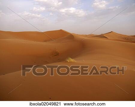 Stock Image - "Sand dunes of the Erg Chebbi Desert, near Merzouga, Morocco, North Africa, Africa". Fotosearch