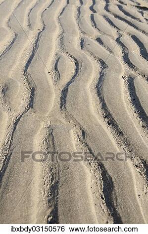 Stock Photograph - "Sand grooves caused by the River Elbe, Wittenbergen, Rissen, Hamburg, Hamburg, Germany, Europe". Fotosearch
