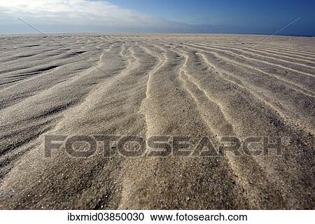 "Sand ripple patterns on the beach, near Hvide Sande, Jutland, Denmark, Europe" View Large Photo Image Stock Image - "Sand ripple patterns on the beach, near Hvide Sande, Jutland, Denmark, Europe". Fotosearch