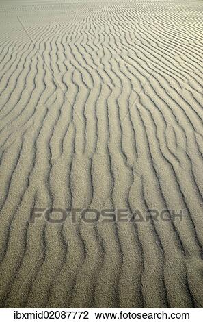 "Sand ripples, Kniepsand beach, Amrum Island, Nordfriesland, North Frisia, Schleswig-Holstein, Germany, Europe" View Large Photo Image Stock Image - "Sand ripples, Kniepsand beach, Amrum Island, Nordfriesland, North Frisia, Schleswig-Holstein, Germany, Europe". Fotosearch