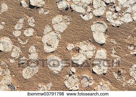 Stock Photo - "Sand, Sossusvlei, Namib-Naukluft National Park, Namibia, Africa". Fotosearch