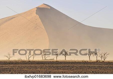 "Sand storm in the Namib Desert near Sossusvlei, Namib Naukluft Park, Namibia, Africa" View Large Photo Image Stock Photo - "Sand storm in the Namib Desert near Sossusvlei, Namib Naukluft Park, Namibia, Africa". Fotosearch