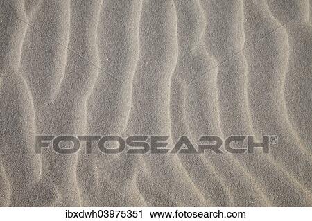 "Sand structures, North Sea, Lower Saxony, Germany, Europe" View Large Photo Image Stock Image - "Sand structures, North Sea, Lower Saxony, Germany, Europe". Fotosearch