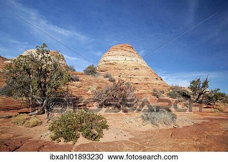 "Sandstone formations, Coyote Buttes North, Vermilion Cliffs Wilderness, Page, Arizona, USA, America" View Large Photo Image Stock Image - "Sandstone formations, Coyote Buttes North, Vermilion Cliffs Wilderness, Page, Arizona, USA, America". Fotosearch