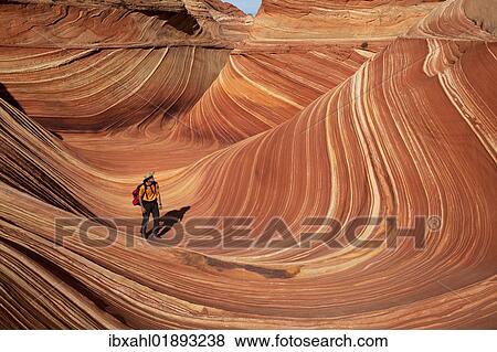 Stock Photo - "Sandstone formations, Coyote Buttes North, Vermilion Cliffs Wilderness, Page, Arizona, USA, America". Fotosearch
