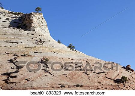 "Sandstone rock, Zion Plateau, Zion National Park, Utah, USA, America" View Large Photo Image Stock Photo - "Sandstone rock, Zion Plateau, Zion National Park, Utah, USA, America". Fotosearch