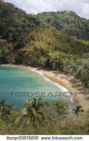 "Sandy beach, Parlatuvier Bay, Tobago, Trinidad and Tobago, North America" View Large Photo Image Stock Image - "Sandy beach, Parlatuvier Bay, Tobago, Trinidad and Tobago, North America". Fotosearch