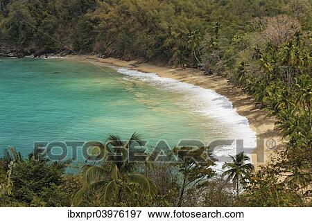 "Sandy beach, Parlatuvier Bay, Tobago, Trinidad and Tobago, North America" View Large Photo Image Stock Photo - "Sandy beach, Parlatuvier Bay, Tobago, Trinidad and Tobago, North America". Fotosearch