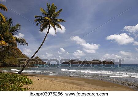 Stock Photograph - "Sandy beach with surf, Little Tobago, Trinidad and Tobago, North America". Fotosearch