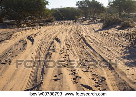 Stock Image - "Sandy track, Sossusvlei, Namib Naukluft Park, Namibia, Africa". Fotosearch
