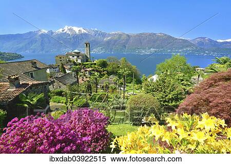 "Sant'Abbondio on Lake Maggiore, Gambarogno, Ticino, Switzerland, Europe" View Large Photo Image Stock Photography - "Sant'Abbondio on Lake Maggiore, Gambarogno, Ticino, Switzerland, Europe". Fotosearch