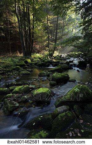 "Saussbachklamm gorge, Bavarian Forest, Bavaria, Germany, Europe" View Large Photo Image Stock Image - "Saussbachklamm gorge, Bavarian Forest, Bavaria, Germany, Europe". Fotosearch