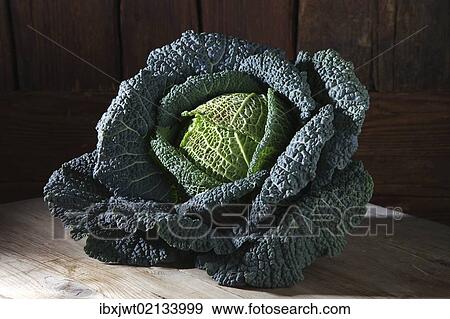"Savoy cabbage (Brassica oleracea convar. Capitata var. sabauda L. ), on a rustic wooden surface" View Large Photo Image Stock Photo - "Savoy cabbage (Brassica oleracea convar. Capitata var. sabauda L. ), on a rustic wooden surface". Fotosearch