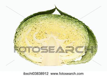 "Savoy Cabbage (Brassica oleracea var sabauda), halved" View Large Photo Image Stock Image - "Savoy Cabbage (Brassica oleracea var sabauda), halved". Fotosearch