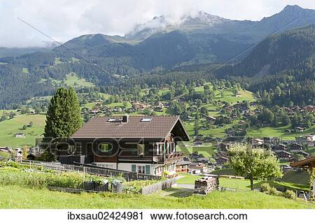 Stock Image - "Scattered settlement, house, green pastures, mountains, Grindelwald, Bernese Oberland, Canton of Bern, Alps, Switzerland, Europe". Fotosearch