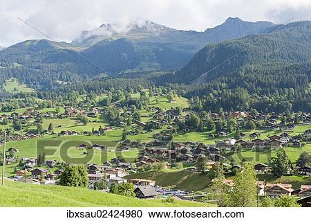 Stock Image - "Scattered settlement, houses, green meadows, mountains, Grindelwald, Bernese Oberland, Canton of Bern, Alps, Switzerland, Europe". Fotosearch