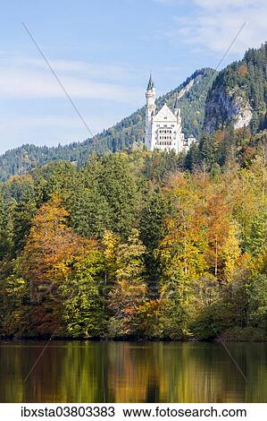 "Schloss Neuschwanstein Castle viewed from Alpsee lake in autumn, East Allgau, Bavaria, Germany, Europe" View Large Photo Image Stock Image - "Schloss Neuschwanstein Castle viewed from Alpsee lake in autumn, East Allgau, Bavaria, Germany, Europe". Fotosearch