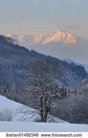 "Schneeberg mountain, Jagasitz, Lower Austria, Austria, Europe" View Large Photo Image Stock Photo - "Schneeberg mountain, Jagasitz, Lower Austria, Austria, Europe". Fotosearch