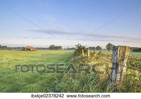 Stock Image - "Schneeren landscape, Steinhuder Meer Nature Park, Neustadt am Ruebenberge, Lower Saxony, Germany, Europe". Fotosearch